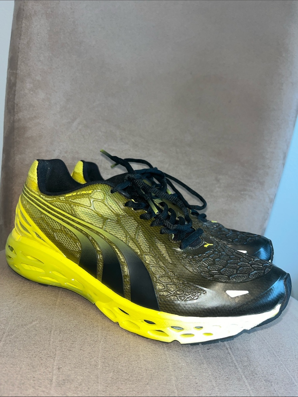NWOT-Puma Men’s Web Cage Sneaker